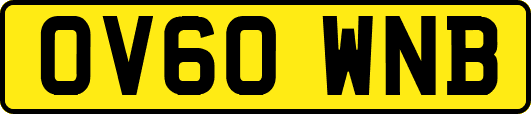 OV60WNB