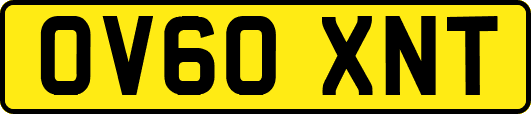 OV60XNT
