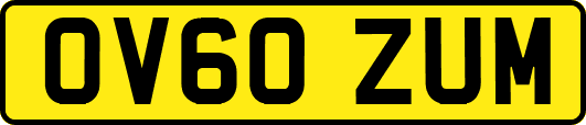 OV60ZUM