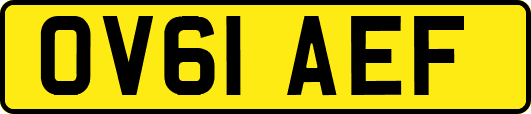 OV61AEF