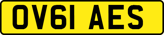 OV61AES