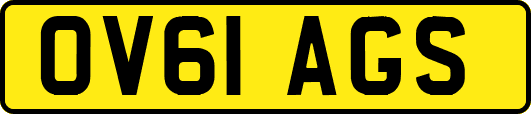 OV61AGS