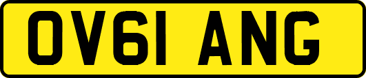 OV61ANG