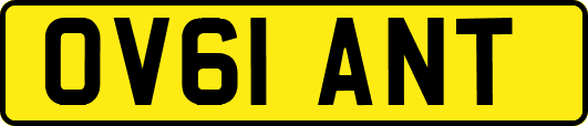 OV61ANT