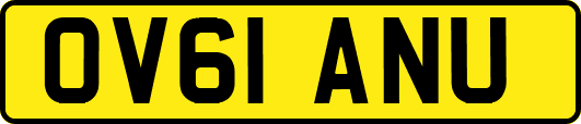 OV61ANU