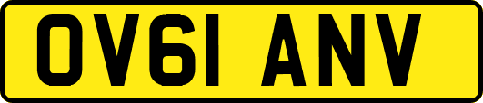 OV61ANV