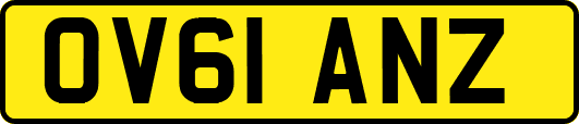 OV61ANZ