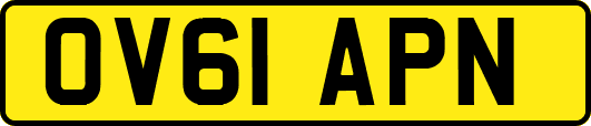 OV61APN