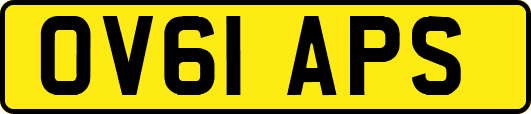 OV61APS