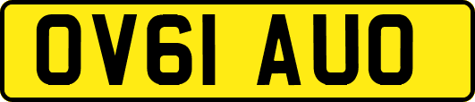 OV61AUO