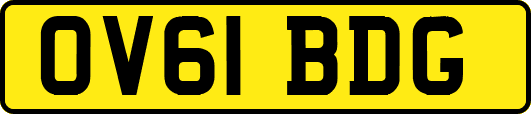 OV61BDG