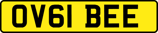 OV61BEE