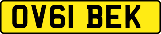 OV61BEK