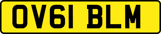 OV61BLM