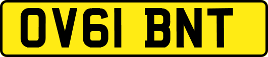 OV61BNT