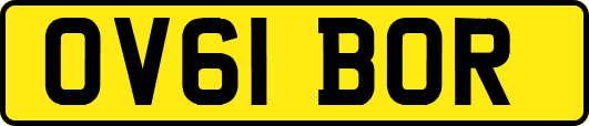 OV61BOR