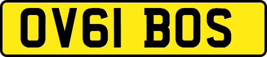 OV61BOS