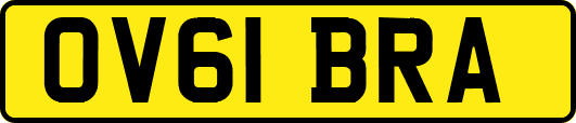 OV61BRA