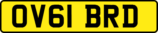 OV61BRD