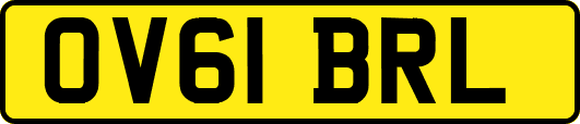 OV61BRL