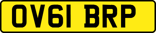 OV61BRP