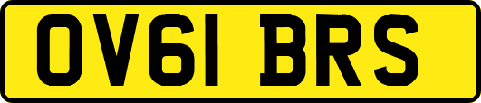 OV61BRS
