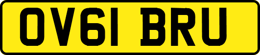 OV61BRU