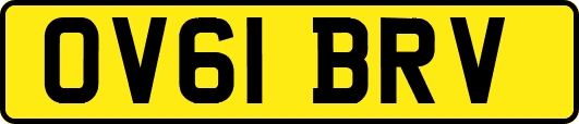OV61BRV