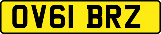 OV61BRZ