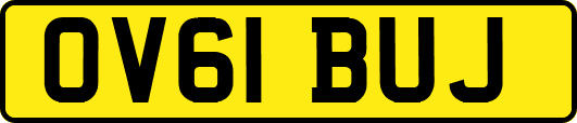 OV61BUJ