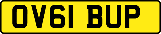 OV61BUP
