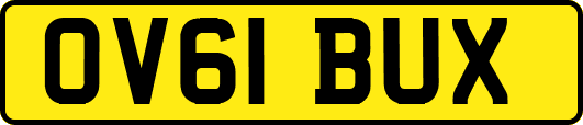 OV61BUX