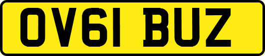 OV61BUZ