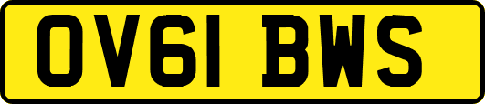 OV61BWS