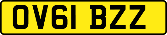 OV61BZZ