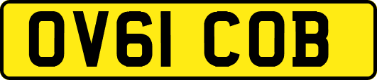 OV61COB