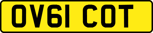 OV61COT