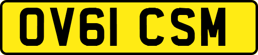 OV61CSM