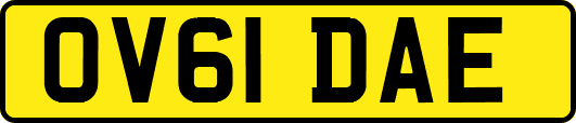 OV61DAE