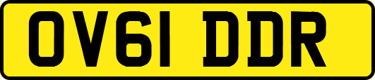 OV61DDR