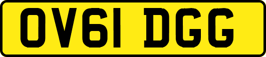 OV61DGG