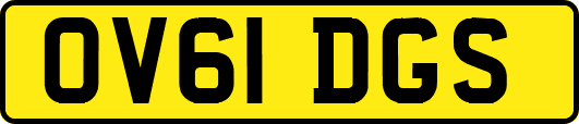 OV61DGS