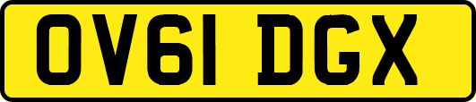 OV61DGX