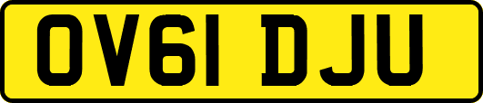 OV61DJU