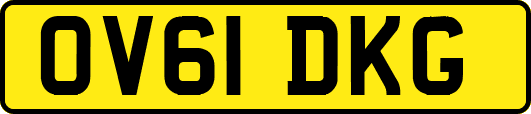 OV61DKG