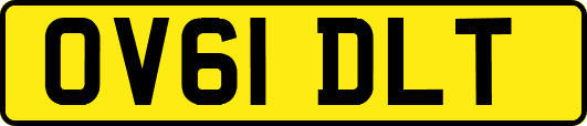 OV61DLT