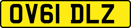 OV61DLZ