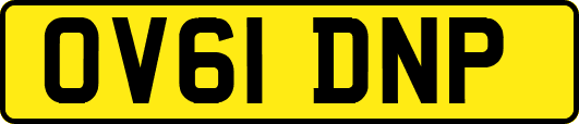 OV61DNP