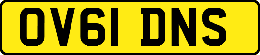 OV61DNS
