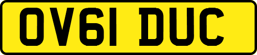 OV61DUC